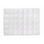 Couette duvet d'oie 70% 220x200 basic plus 2000g premium blanc Couette duvet d'oie 70% 220x200 basic plus 2000g premium blanc