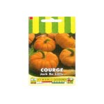 Courge 'jack be little' le sachet de 25 graines (2g)