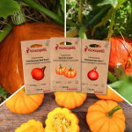 Courges � petits fruits - 3 sachets de graines bio � semer