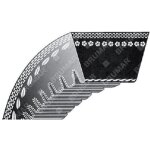 Courroie dente section 3l - type z 21 1 / 4 pouces pour scarificateurs sandrigarden - compatible maori ...