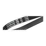 Courroie optibelt rb, longueur 698mm, largeur 28. 48mm ( prix pour 1 )