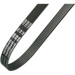 Courroie poly - v optibelt rb, longueur 1600mm, largeur 16. 38mm ( prix pour 1 )