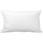 Coussin de remplissage blanc blanc 30x50 cm, coussin lombaire noyau d'oreiller