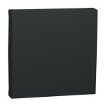 Schneider electric - unica - enjoliveur interrupteur ou bouton - poussoir - 2 mod - anthracite (nu920054) ...