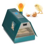 Couveuse automatique de 10 ?ufs de poules à affichage digital de la température automatique mini pour ... Couveuse automatique de 10 ?ufs de poules à affichage digital de la température automatique mini pour ...