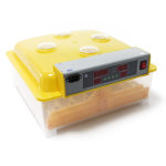 Wiltec - couveuse automatique ? 160 w ? pour 48 oeufs ? avec 4 fenêtres de surveillance, mire - ?uf et ... Wiltec - couveuse automatique ? 160 w ? pour 48 oeufs ? avec 4 fenêtres de surveillance, mire - ?uf et ...