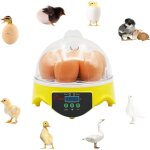 Couveuse � oeufs 7 oeufs incubateur contr�le de la temp�rature de la couveuse � poussins avec �cran digital ...
