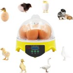 Couveuse à oeufs 7 oeufs incubateur contrôle de la température de la couveuse à poussins avec écran digital ... Couveuse à oeufs 7 oeufs incubateur contrôle de la température de la couveuse à poussins avec écran digital ...