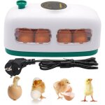 Couveuse oeuf 8 oeufs incubateur oeuf de poule, incubateur oeuf pour poulets canards cailles, couveuse ...