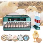 Couveuse oeuf automatique 16 - 24, incubateur automatique pour poules avec retournement automatique des ... Couveuse oeuf automatique 16 - 24, incubateur automatique pour poules avec retournement automatique des ...