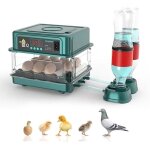 Couveuse oeuf automatique, avec surveillance de l'humidit�, retournement automatique des ufs, ajout automatiqu ...