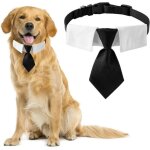 Cravate pour chien. 1 lot de cravate noire en coton avec boucle r�glable pour chiens de taille moyenne ...