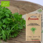 Cresson al�nois � feuilles simples