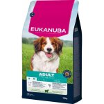 Croquettes eukanuba pour chiens adultes de petite et moyenne race, agneau et riz, 12 kg Croquettes eukanuba pour chiens adultes de petite et moyenne race, agneau et riz, 12 kg