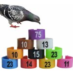 Diamtre 1. 6cm)lot de 60 anneau d'identification en plastique pigeon animaux poulet bande de volaille ...