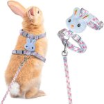 Harnais pour lapin nain réglable laisse pour lapins gilet harnais chaton, harnais pour chat lapin accessoires, ... Harnais pour lapin nain réglable laisse pour lapins gilet harnais chaton, harnais pour chat lapin accessoires, ...