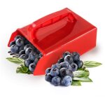 Cueilleur de myrtilles avec poignée cueillères et râteaux avec peigne poignée ergonomique pour la récolte ... Cueilleur de myrtilles avec poignée cueillères et râteaux avec peigne poignée ergonomique pour la récolte ...