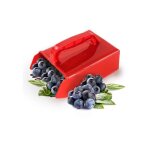 Forehill - cueilleur de myrtilles avec poigne pelle  myrtilles cueillette d'artefact outil de jardin ...