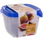 Curver 2045387 fresh & go bote fracheur carr plastique transparent / bleu lot de 3 08560 - 139 - 00 ...