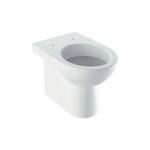 Cuvette au sol filoparete 53x35. 5 blanc brillant geberit selnova - con copri wc standard