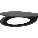 Cuvette de wc delabie slim bcn noir en dure plastique avec couvercle et fermeture automatique.