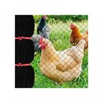 Filet anti - oiseaux de 7, 6 x 15, 2 m avec maille carr�e de 2, 5 cm, filet de jardin r�utilisable pour ...