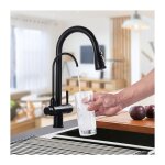 Robinet de cuisine avec douchette extractible, robinet de cuisine en acier inoxydable noir, rotatif � ...