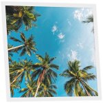 Dalle led imprim�e 60x60 cm - motif �vasion tropicale - lumi�re blanc neutre 4000k - panneau lumineux ...