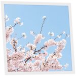 Dalle led imprim�e 60x60 cm - motif fleurs de ciel - lumi�re blanc neutre 4000k - panneau lumineux pour ...