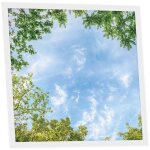 Dalle led imprime 60x60 cm - motif horizon arbor - lumire blanc neutre 4000k - panneau lumineux pour ...