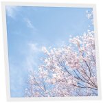 Dalle led imprim�e 60x60 cm - motif nuances roses - lumi�re blanc neutre 4000k - panneau lumineux pour ...