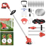 Day plus - 21v d�broussailleuse electrique sans fil avec chargeur et 2x li batteries
