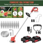 Day plus - tondeuse à gazon électrique sans fil de jardin débroussailleuses + 2 batterie Day plus - tondeuse à gazon électrique sans fil de jardin débroussailleuses + 2 batterie