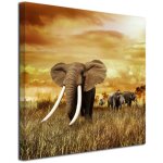 Declina, tableau toile imprime, animaux, tableau l'lphant toile imprime, 30x30 cm