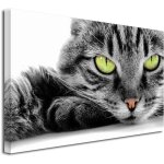 Declina, tableau toile imprime, tableau dco toile le chat aux yeux vert, 50x30 cm