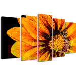 Declina, tableau toile imprime zen, tableau grand format fleurs orange, 150x80 cm