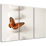 Declina, tableau toile imprimée zen, tableau imprimé jardin zen & papillon, 90x60 cm Declina, tableau toile imprimée zen, tableau imprimé jardin zen & papillon, 90x60 cm