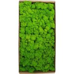 Dcoration murale en mousse prserve pour jardinage, micro - paysage, accessoires dcoratifs - eosnow ...