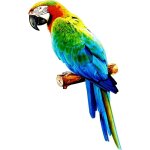 D�coration murale perroquet en m�tal, 14. 96'' oiseau color� mur sculpture decpt, d�corations murales ...