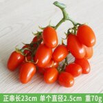 Feiyue - dcoration de tomates cerises artificielles imitation de bouquet de tomates cerises simulation ...