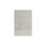 Dcoweb - tapis damier  poils longs - colorama - vert d'eau - 160 x 230 cm