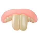 Dentier pour chien, fausses dents, accessoires de d�coration pour chien, costume d'halloween, cosplay, ...