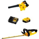 Dewalt dcmht563p1 dcv100 (1 x 5, 0 ah dcb1104)