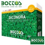 Dichondra repens - graines pour pelouse 500 gr