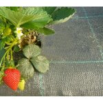 Direct filet - toile de paillage 5. 25 x 10m grammage: 130g
