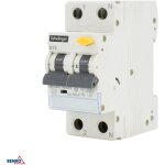 Disjoncteur diffrentiel 2p - 16a - 30ma - type a - schneider - protection contre les surcharges