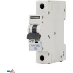 Schelinger - disjoncteur modulaire 1p - 2a - courbe c - 6ka - 230 - 400v ac - ip20