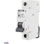 Schelinger - disjoncteur unipolaire 10a - protection �lectrique - courbe b - rail din - ip20