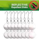 Disques repulsif - anti pigeon effaroucheur d'oiseaux [anti - oiseaux �pouvantail] - pour �loigner pigeons ...