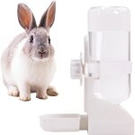 Distributeur eau pour lapins abreuvoir suspendu pour cochons d'inde hamsters rats - blanc - 500 ml